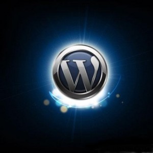 Wordpress 3.0
